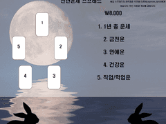 신년운세 스프레드