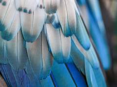 [승준명석] 一碧萬頃