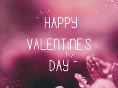 [특촬 합작 공지] 발렌타인 데이 특촬 합작