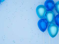 誕生日おめでとう 방랑자(스카라무슈) / 나히다 / 라이덴쇼군