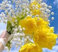 [히나른]별이 되기 위한 성장통