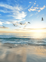 유피테르 A. 아키니티