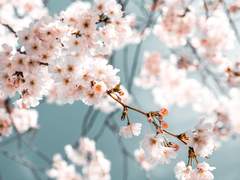 [뷔진] 그 계절의 온도 06