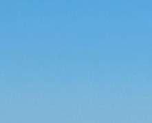 솜인형 제작 커미션