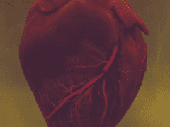 사랑 또 하나의 꽃