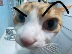 외지주 카톡 드림