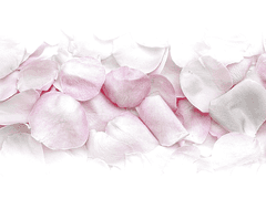 隔世之感 격세지감