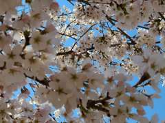 01. 조금은 이상한 아이와의 조우