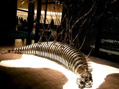 지하의 소리 없는 쥐