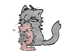 광마회귀]동물모에화빔-!