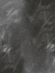 이 세계에서 영원히 살면 안 되나요?