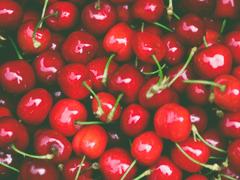 Every letter I sent you.