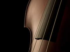 여신의 왈츠는 인간의 손으로 빚어낼 수 없다.