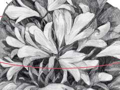 1화. D가 사라졌다