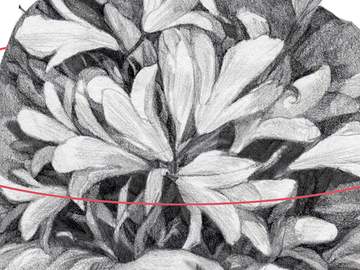 1화. D가 사라졌다