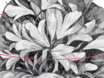 2. 해운대 아쿠아리움의 상어키링