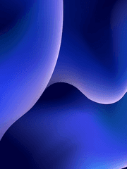 중립론자들 스토리