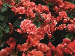 백의담/유/25세/XX