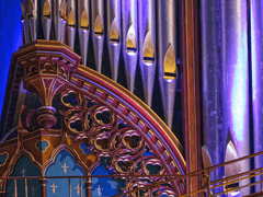 WANTED Dead Or Alive!