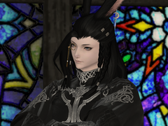 [FF14] 우리집 빛전 프로필