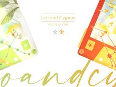 타입 정리 / 연성교환 안내글