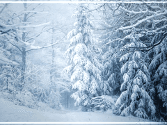 레티시아 / 티르 / 엘프