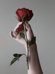 연뮤 단편 모음