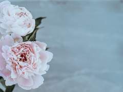 [적도적/해초] 가약(佳約) 1부 19화 (1부 完 + 후기)