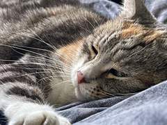 [재희주연] 감기