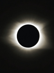 제정신 아닌 남종주 이야기