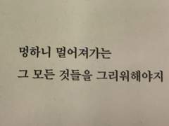 서 보라 프로필