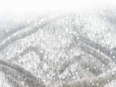 저 산은 나를 보고 미소를 지어 주었네