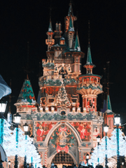 레벨업에만 관심있습니다만 그 장르가 아닌가 봅니다