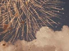 해를 바라보며 피는 여름꽃