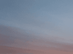 상처를 드러내고 창조적 흐름에 따라.