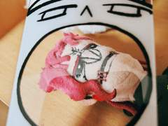 판다 포카도안 유료배포