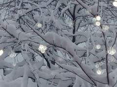 [ 달빛처럼 조용하고, 상냥하게 ]