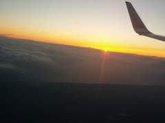 제 발등을 찍은 경찰관