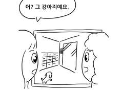 어쩌다 강아지! (소미편)