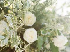 [랩진] 부드러운 살결 (1)