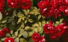 시간은 곧 금입니다.