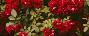 시간은 곧 금입니다.