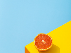 [슈짐] 열정찬가 6