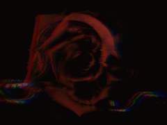 다리 없는 짐승은 삶을 기어간다.