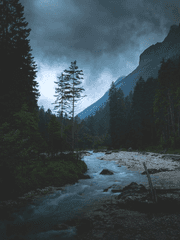 우리가 살아남아야 하는 다섯 가지 이유