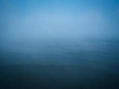 바다에서 건져 올린