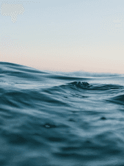 D or D | 뭍에 사는 잉어 연작