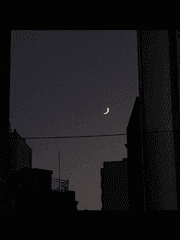 사랑이 식은 뒤에 남은 것은