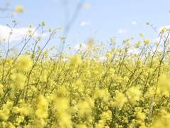 4년간,지나온 날들