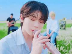 프렌치메리골드